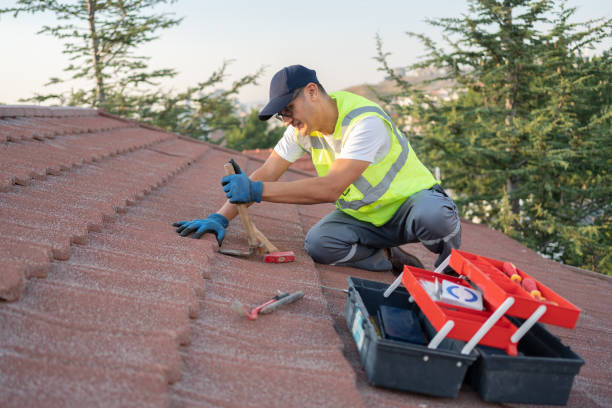 Best Roof Leak Repair  in Pinch, WV