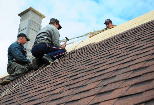 Best Roof Maintenance Services  in Pinch, WV